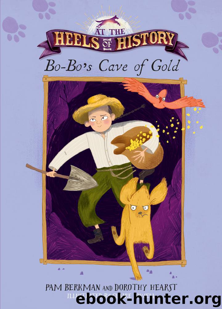 Bo-Bo's Cave of Gold by Pam Berkman & Dorothy Hearst