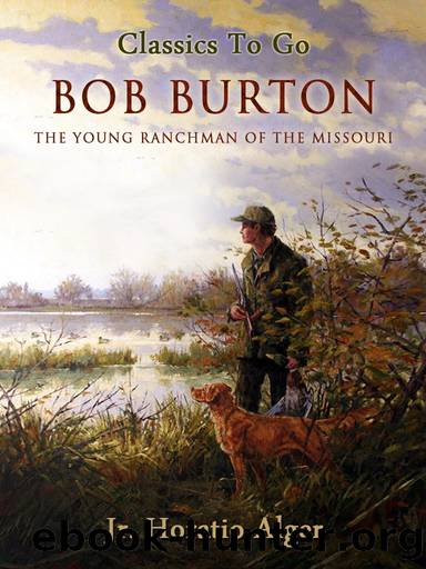 Bob Burton by Jr. Horatio Alger