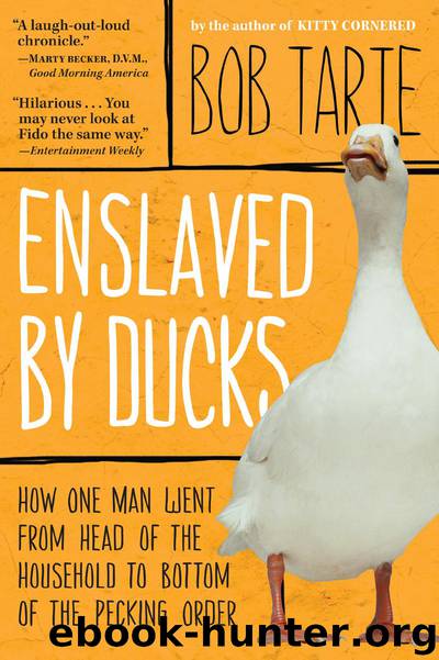 Bob Tarte by Enslaved by Ducks