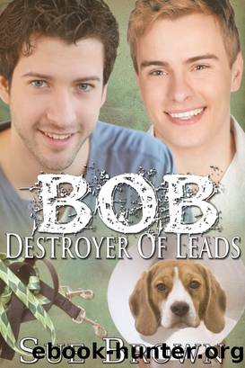 Bob the Destroyer of Leads (Lyon Road Vets #2) by Sue Brown