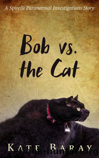 Bob vs the Cat by Kate Baray