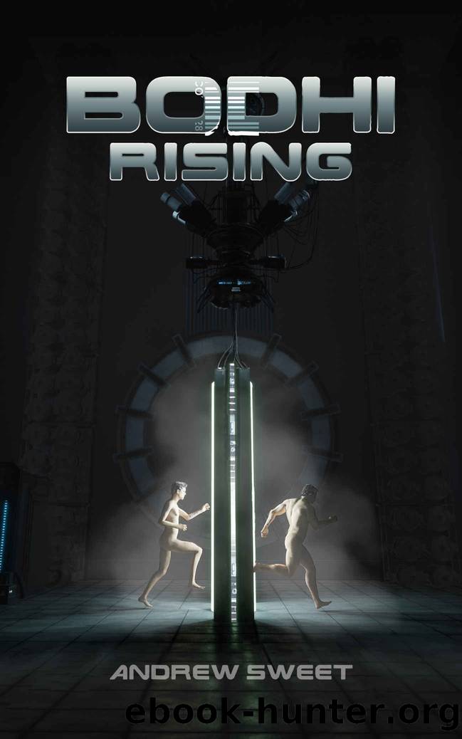 Bodhi Rising (Reality Gradient Book 2) by Andrew Sweet