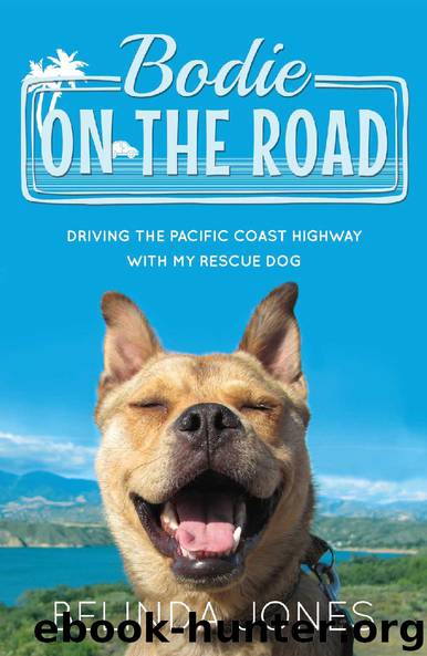 Bodie on the Road - Driving the Pacific Coast Highway with My Rescue Dog by Belinda Jones