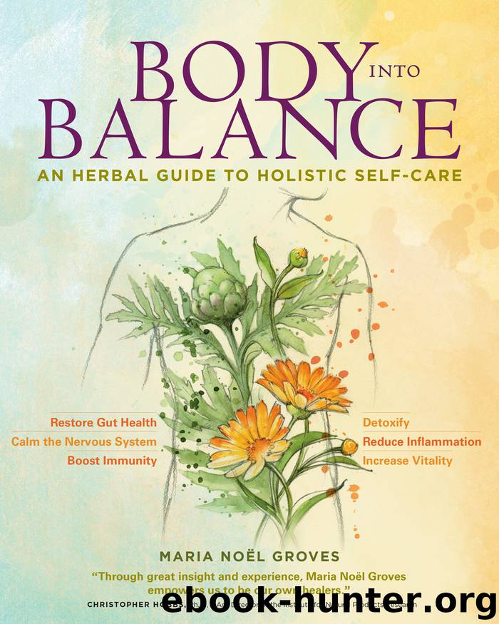 Body into Balance by Maria Noel Groves