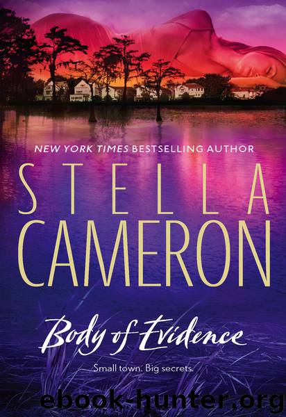 Body of Evidence by Stella Cameron