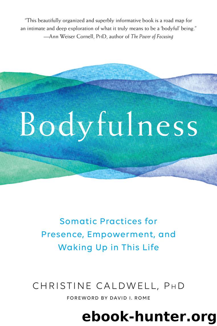 Bodyfulness by Christine Caldwell
