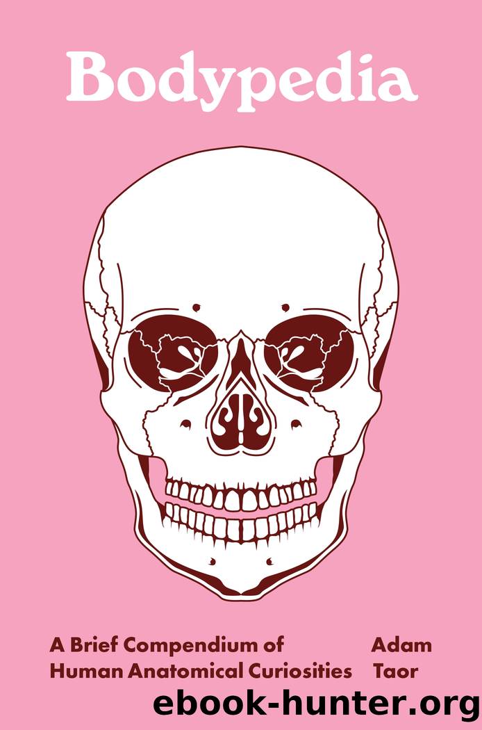 Bodypedia by Adam Taor