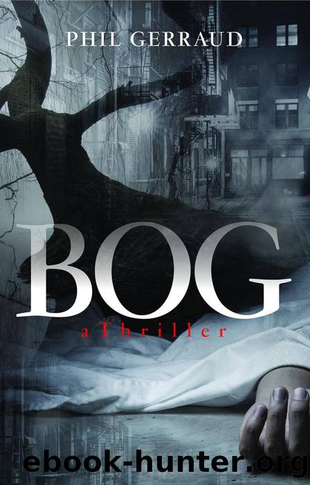 Bog by Phil Gerraud