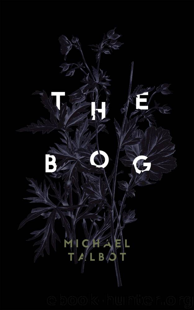 Bog, The by Talbot Michael