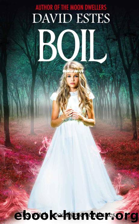 Boil (Salem's Revenge Book 2) by Estes David