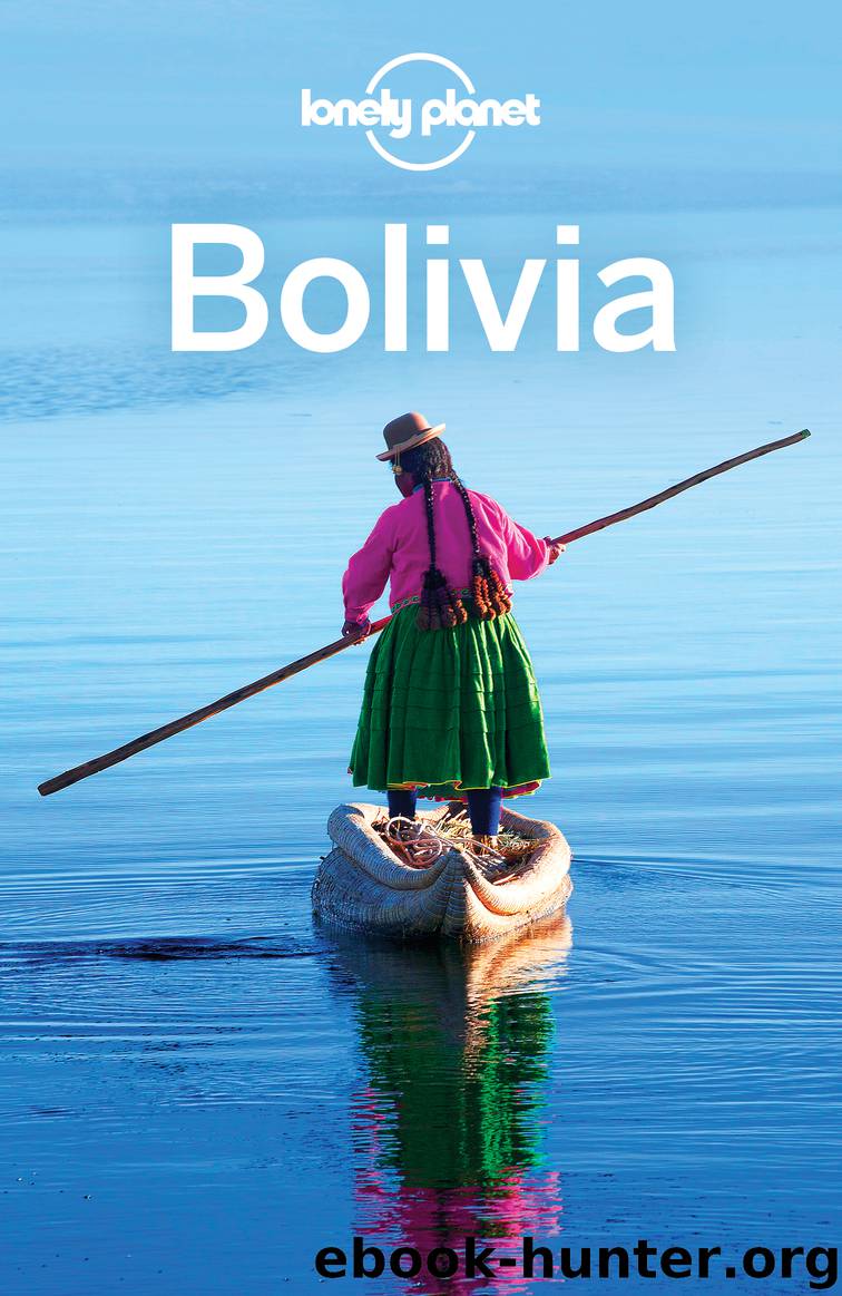 Bolivia Travel Guide by Lonely Planet