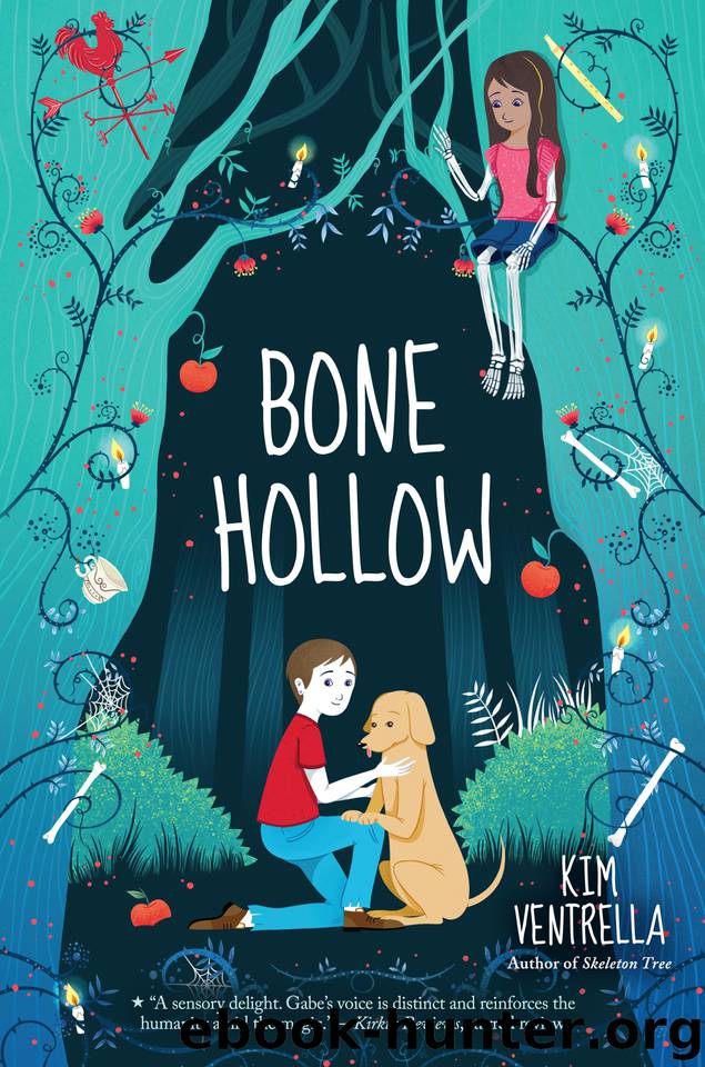 Bone Hollow by Kim Ventrella