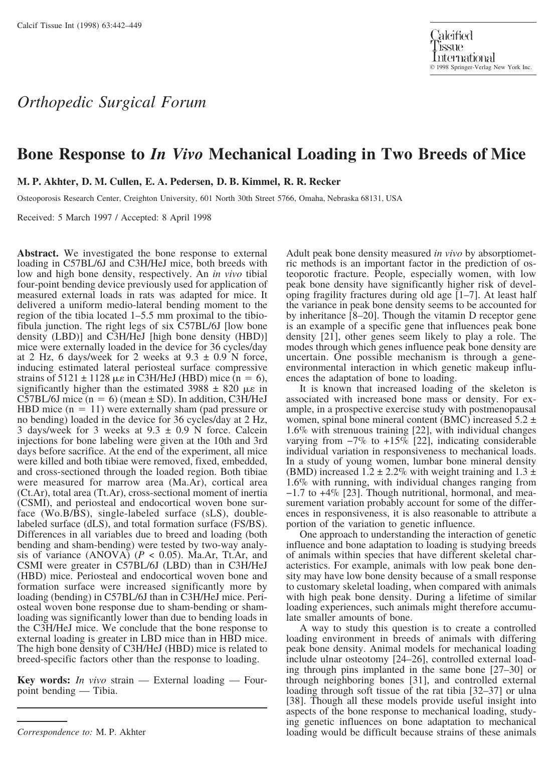 Bone Response to In Vivo Mechanical Loading in Two Breeds of Mice by Akhter M. et al
