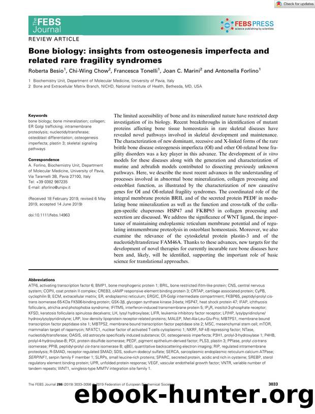 Bone biology: insights from osteogenesis imperfecta and related rare fragility syndromes by Unknown