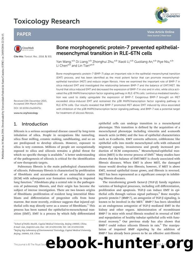Bone morphogenetic protein-7 prevented epithelial-mesenchymal transition in RLE-6TN cells by Yan Wang Di Liang Zhonghui Zhu Xiaoli Li Guoliang An Piye Niu Li Chen Lin Tian
