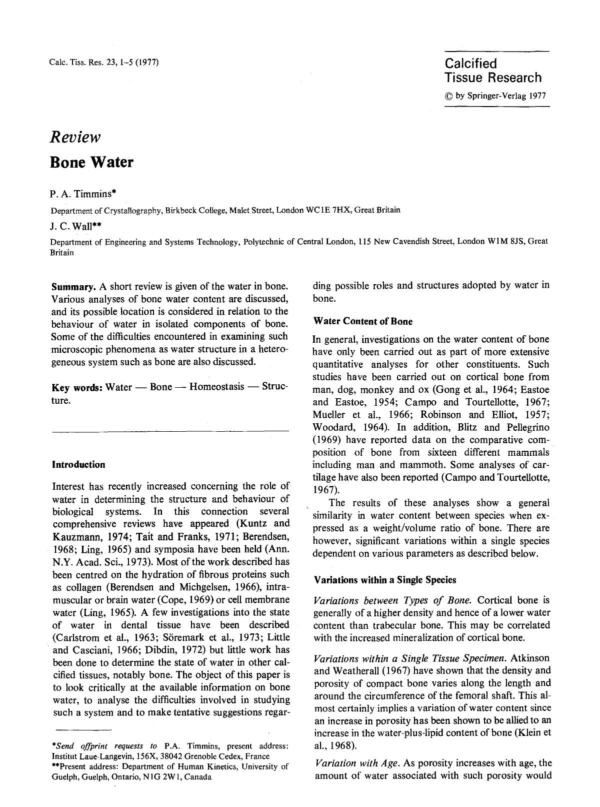 Bone water by Unknown