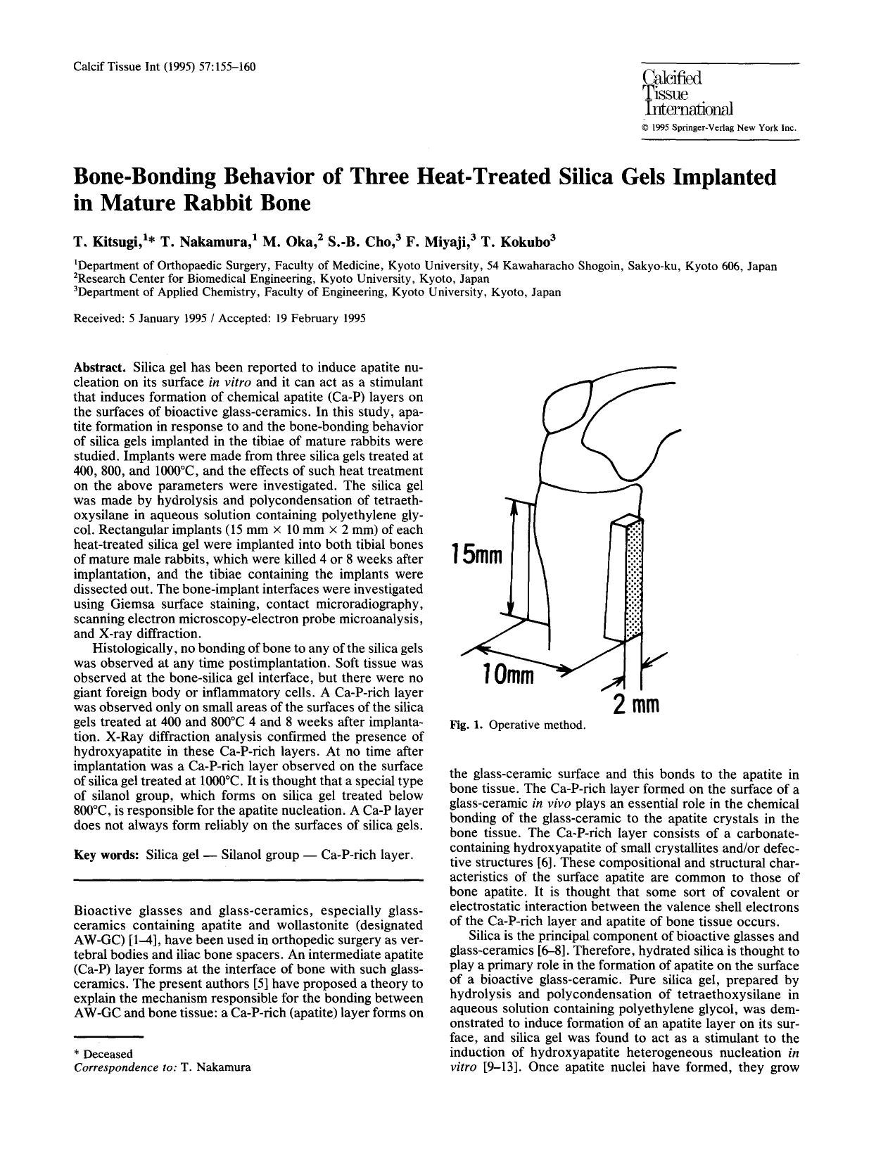 Bone-bonding behavior of three heat-treated silica gels implanted in mature rabbit bone by Unknown