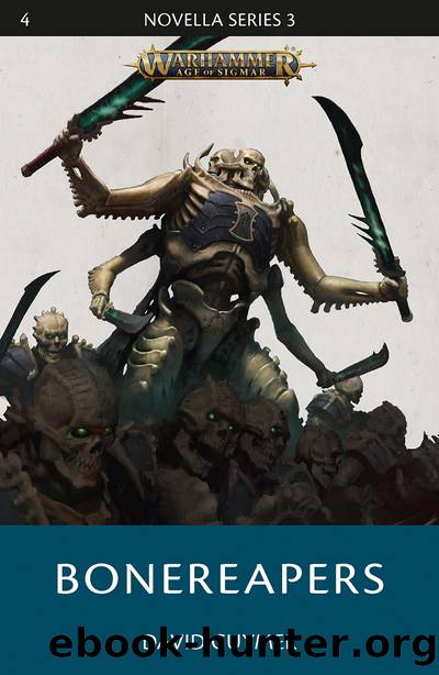 Bonereapers by David Guymer