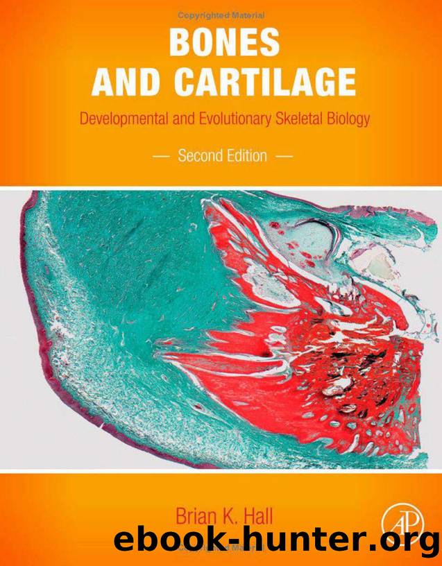 Bones and Cartilage - Developmental and Evolutionary Skeletal Biology, Second Edition by Brian K. Hall