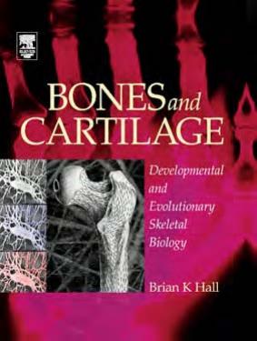 Bones and Cartilage Developmental Skeletal Biology by Unknown