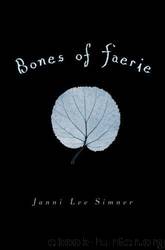Bones of Faerie by Janni Lee Simner