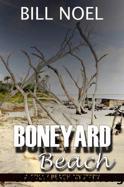Boneyard Beach by Bill Noel