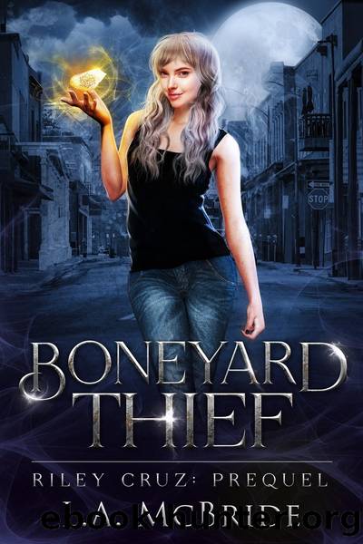 Boneyard Thief by L.A. McBride