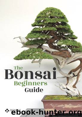 Bonsai by Bonsai Empire