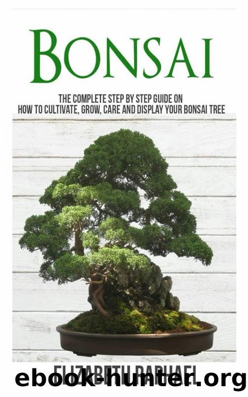 Bonsai by Elizabeth Raphael