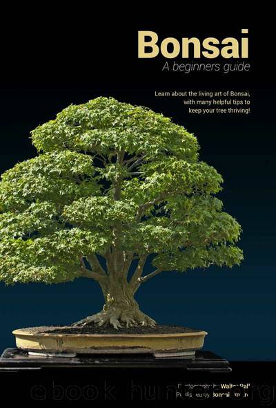 Bonsai: A beginners guide by Bonsai Empire & O. Jonker