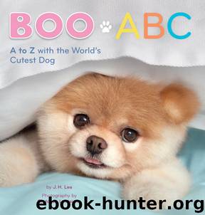 Boo ABC by J.H. Lee