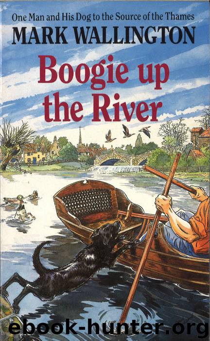 Boogie Up the River by Mark Wallington