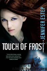 Book 1 Touch of Frost by Jennifer Estep