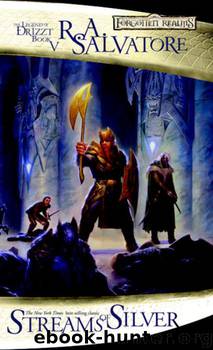 Book 2 - Streams Of Silver by R. A. Salvatore