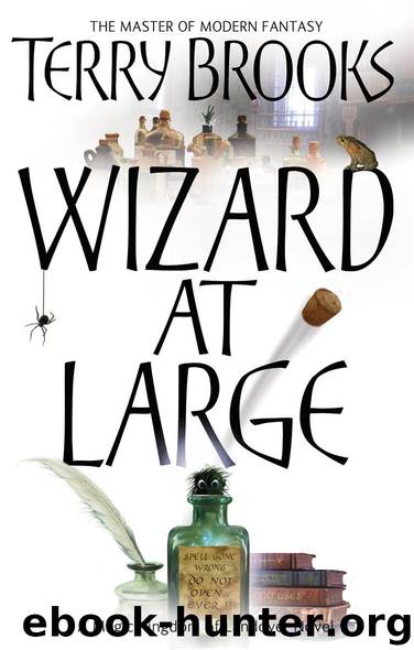 Book 3 - Wizard at Large by Terry Brooks