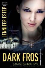 Book 3 Dark Frost by Jennifer Estep
