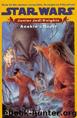 Book 4 - Anakin's Quest by Rebecca Moesta