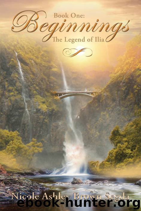 Book One: Beginnings by Nicole Ashley Brown Segda