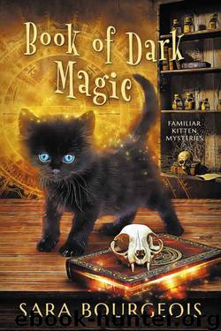 Book of Dark Magic by Sara Bourgeois