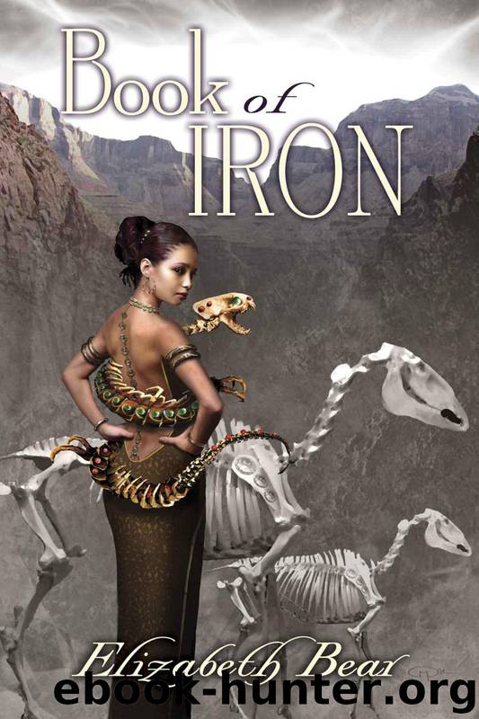 Book of Iron by Elizabeth Bear