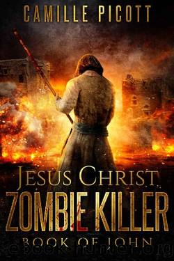 Book of John (Jesus Christ Zombie Killer 1) by Camille Picott