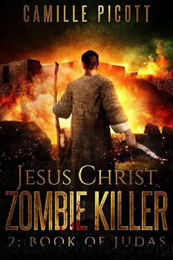 Book of Judas (Jesus Christ Zombie Killer 2) by Camille Picott