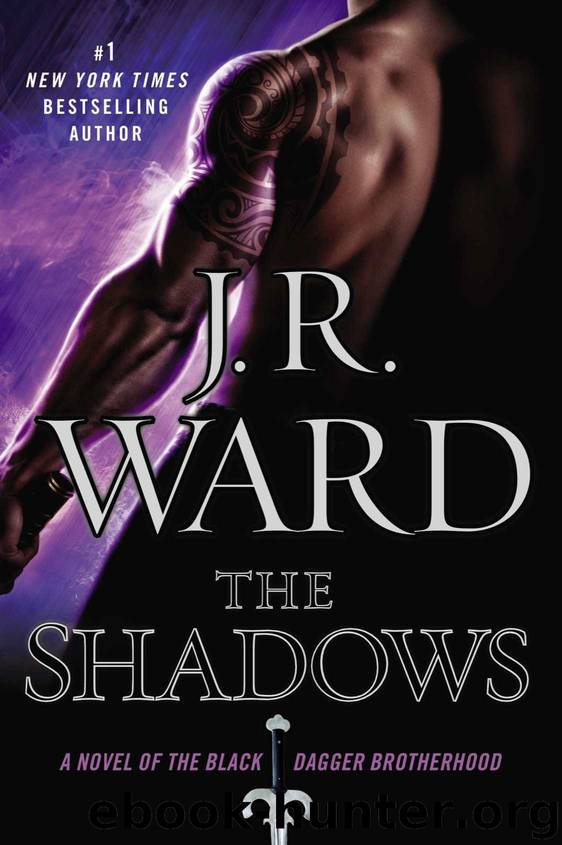 Books 7-13 in J.R. Ward's Black Dagger Brotherhood (Lover Avenged, Lover Mine, Lover Unleashed, Lover Reborn, Lover at Last, the King, the Shadows) by J. R. Ward