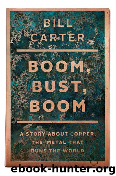 Boom, Bust, Boom: A Story About Copper, the Metal that Runs the World by Bill Carter