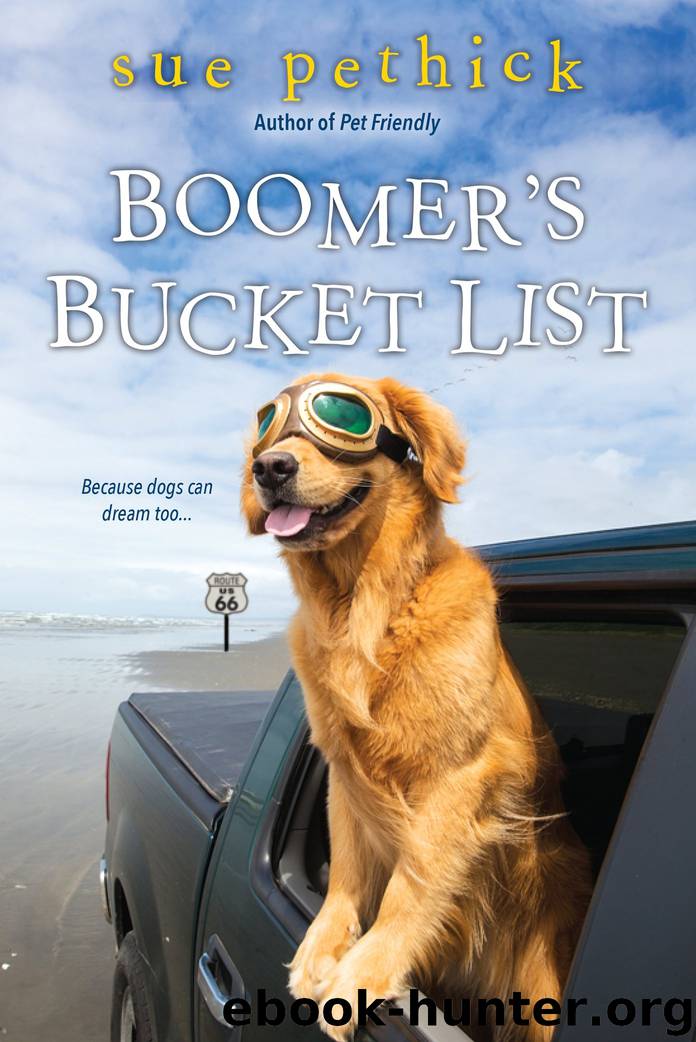 Boomer's Bucket List by Sue Pethick