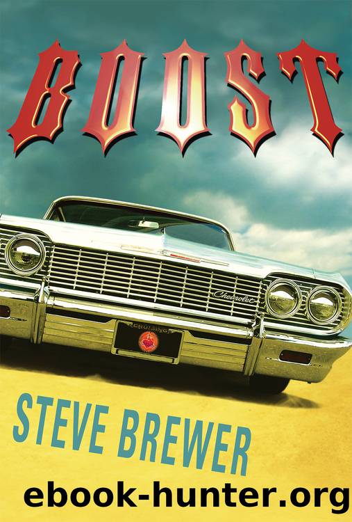 Boost by Steve Brewer