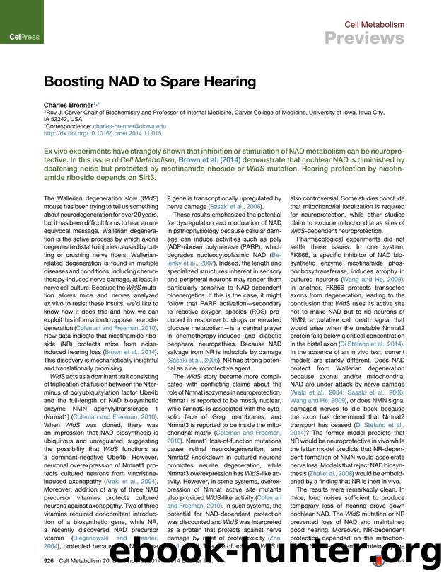 Boosting NAD to Spare Hearing by Charles Brenner