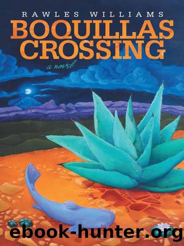Boquillas Crossing by Rawles Williams