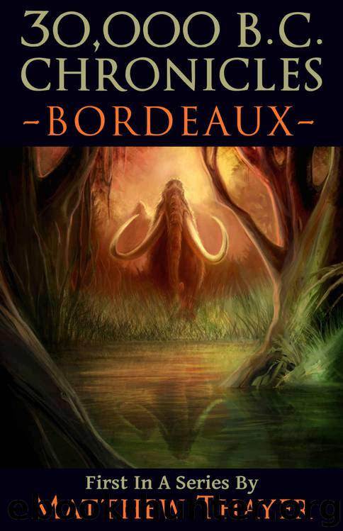 Bordeaux by Matthew Thayer