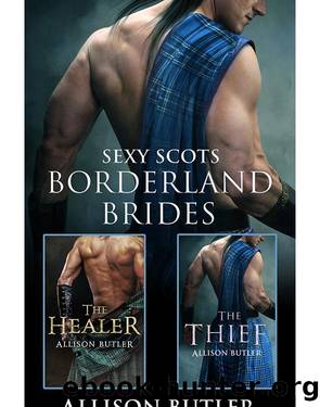 Borderland BridesThe HealerThe Thief by Allison Butler